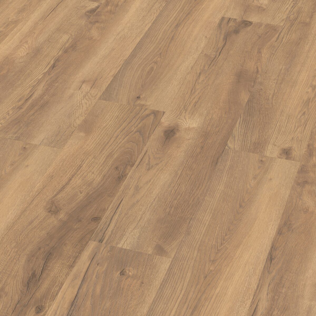 Inwood eiken natuur 2422 - Afbeelding 2