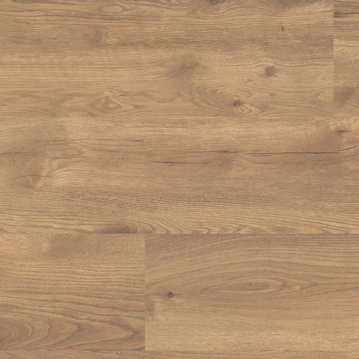 Inwood eiken natuur 2422 - Afbeelding 1