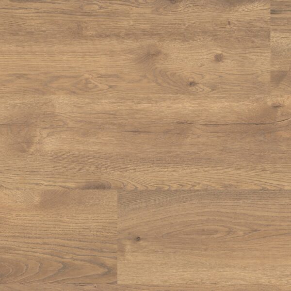 Inwood eiken natuur 2422
