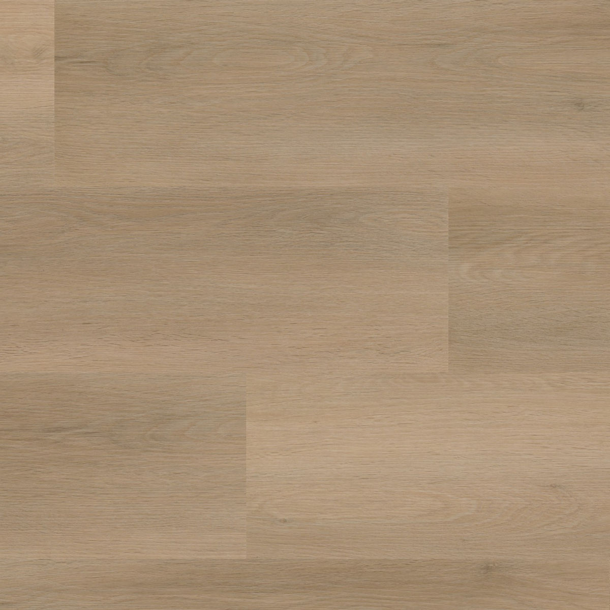 Newham click beige - Afbeelding 1