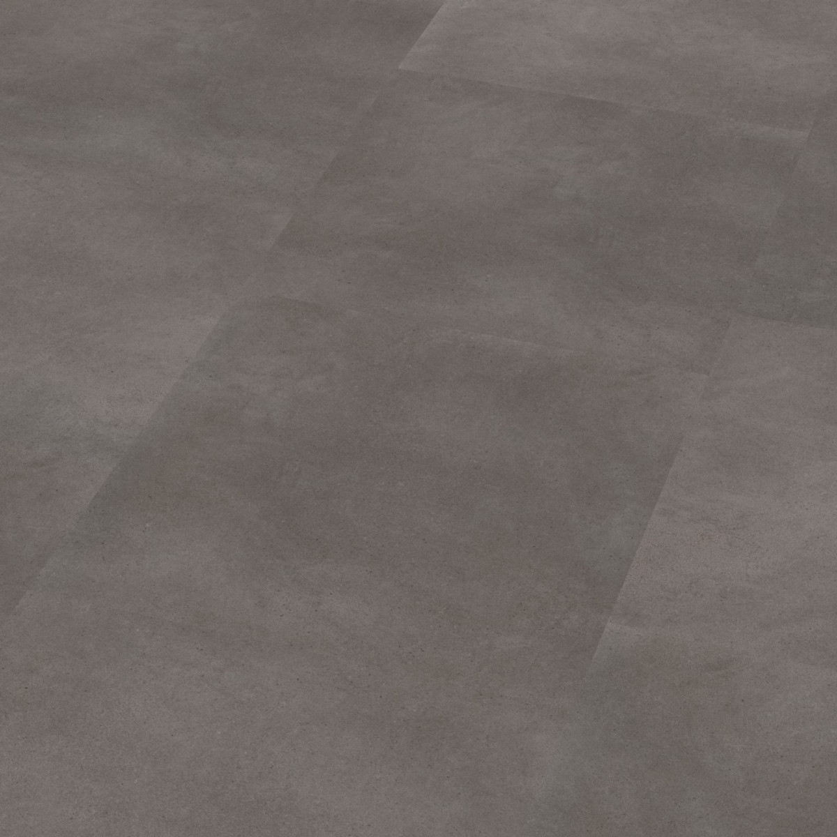 Peckham dryback grey - Afbeelding 9