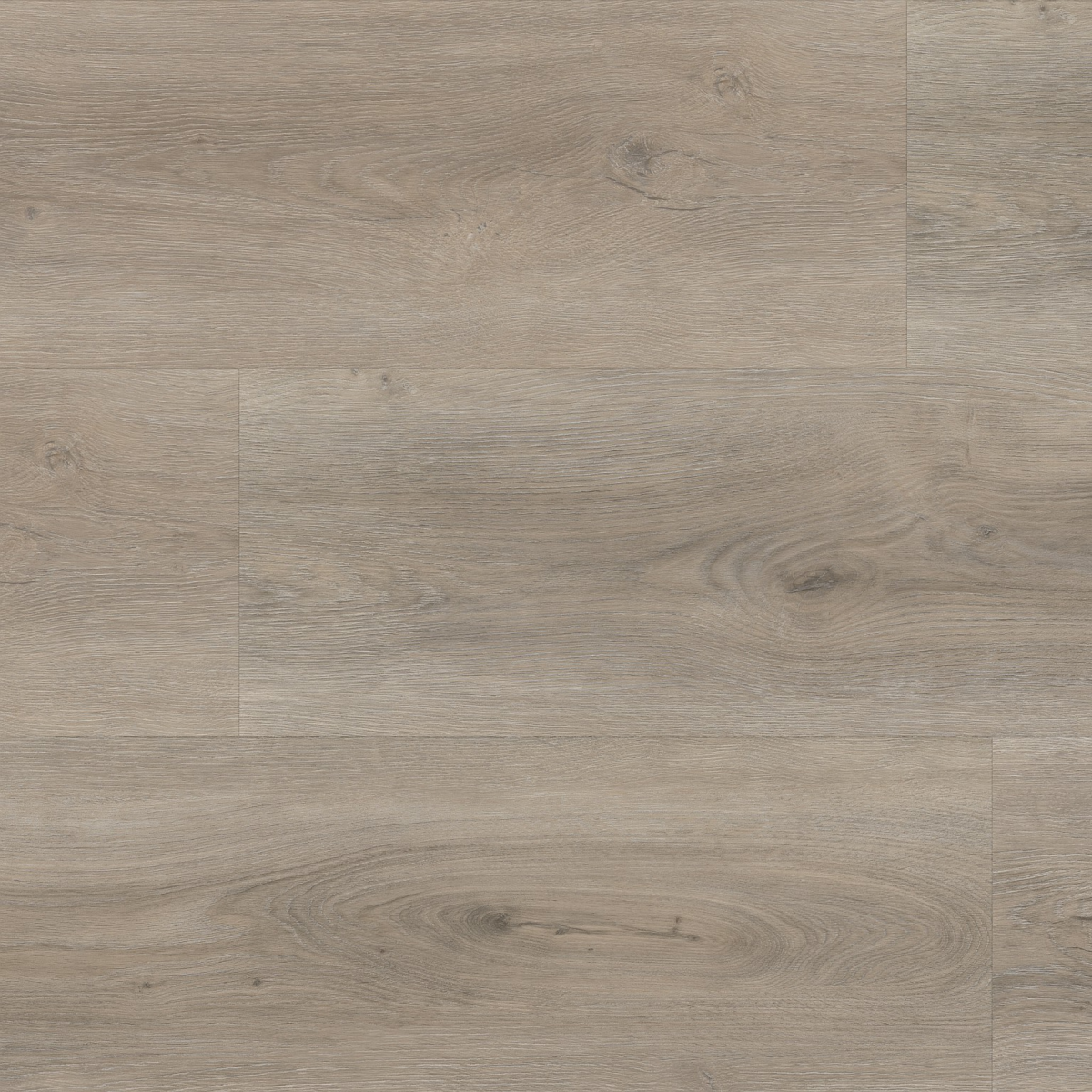 Parramatta click SRC light grey - Afbeelding 1