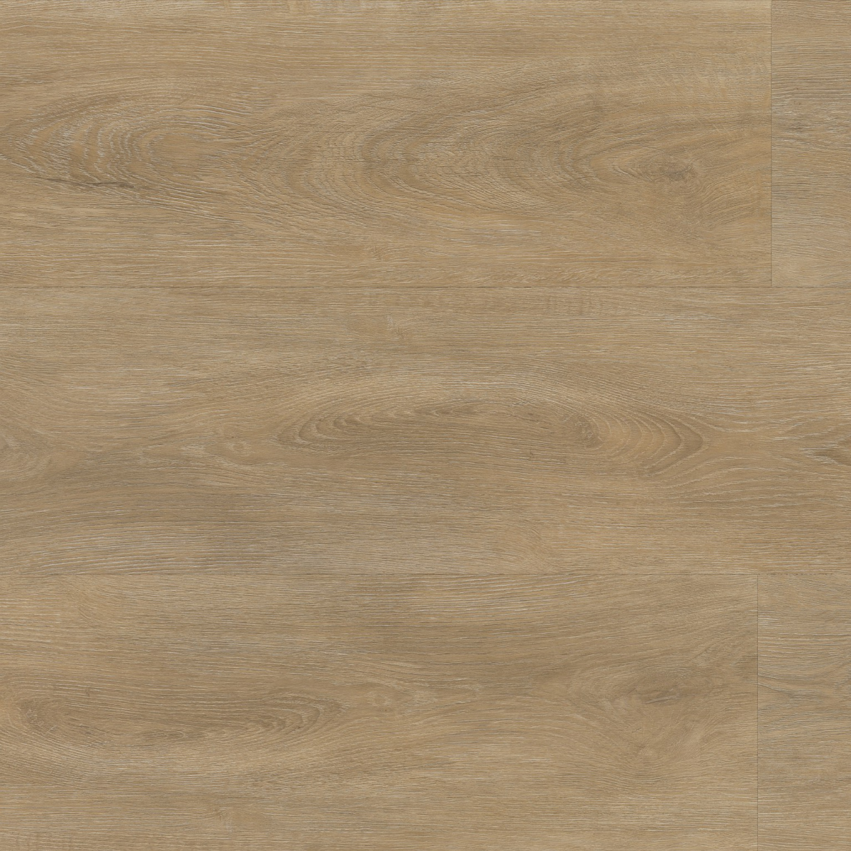 Parramatta click SRC natural oak - Afbeelding 1