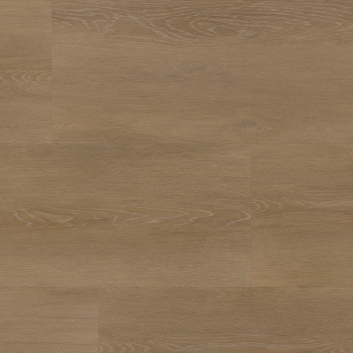 Wide board dryback sun kissed - Afbeelding 1