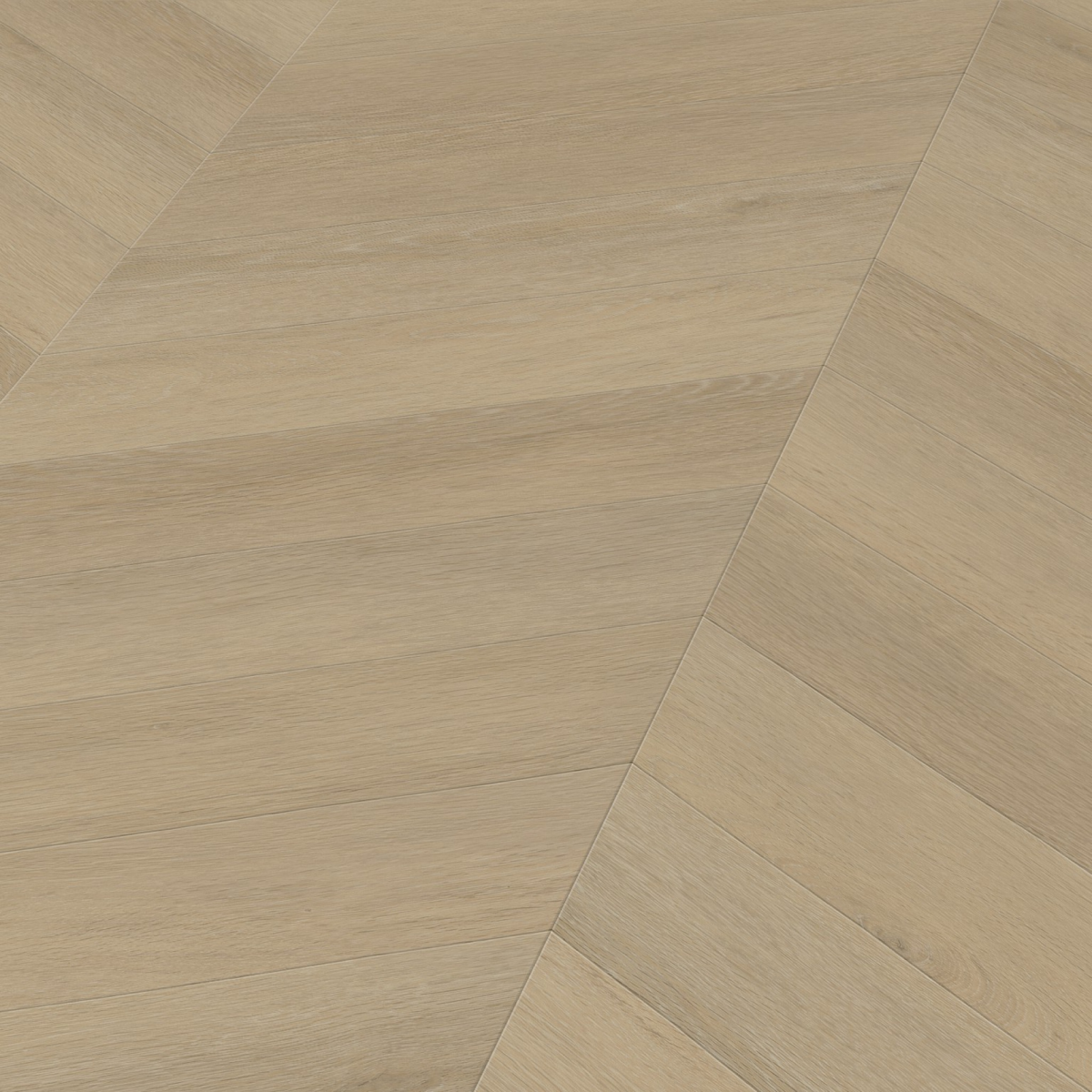 Noble dryback natural - Afbeelding 9