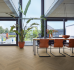 Noble dryback sun kissed - Afbeelding 14