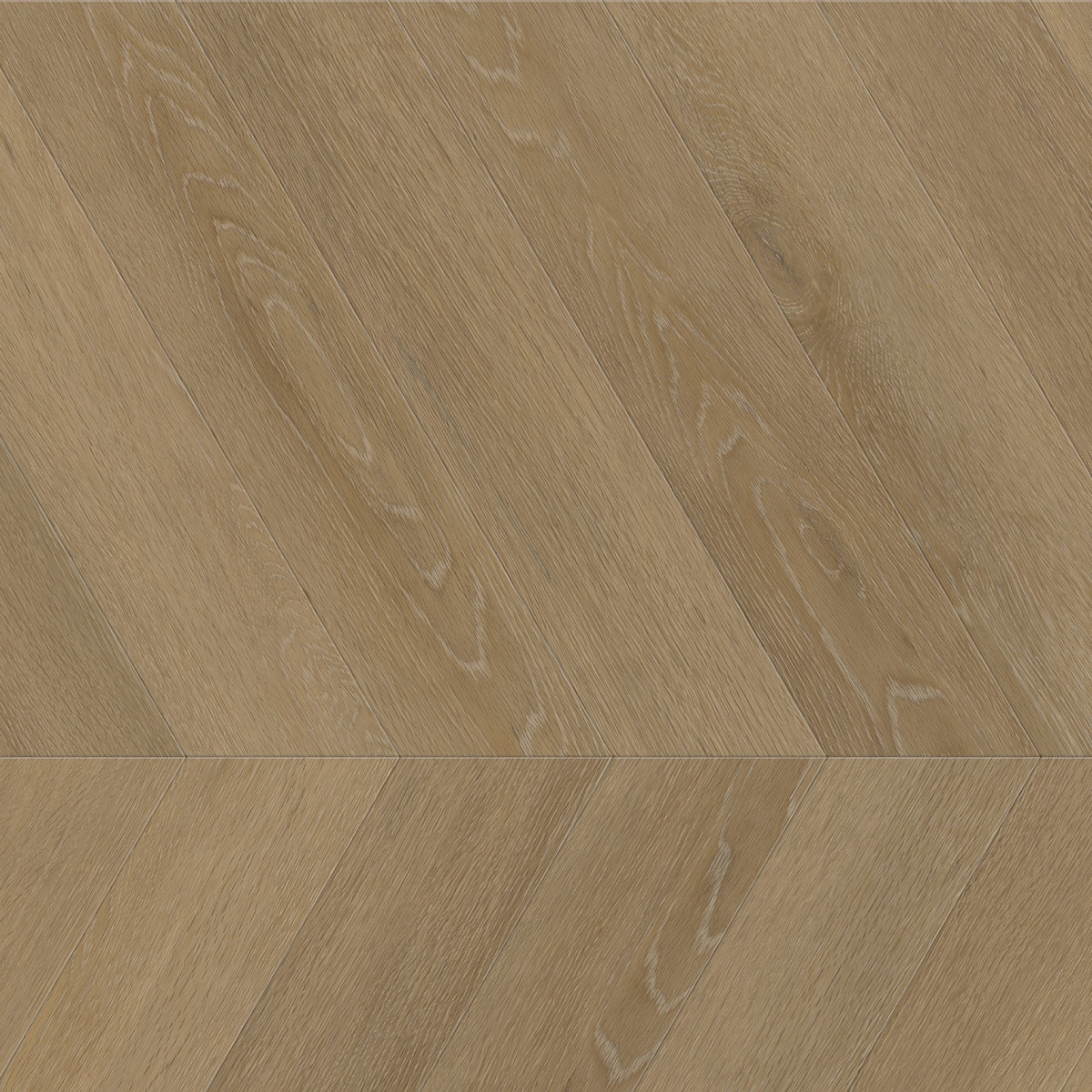 Noble dryback sun kissed - Afbeelding 1