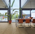 Royal dryback sun kissed - Afbeelding 15