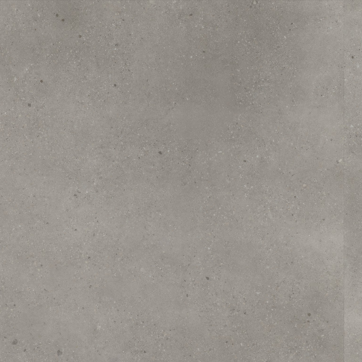 6211215019_main_3e4c0a71 Composite click SRC light grey - Afbeelding 1