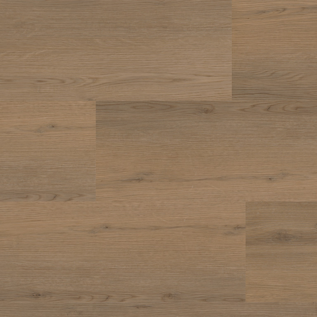 Barnet dryback dark oak - Afbeelding 1