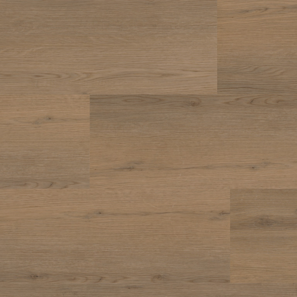 Barnet dryback dark oak