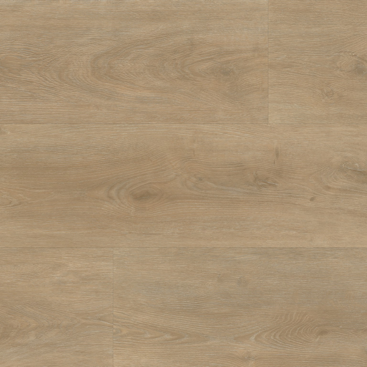 Parramatta dryback naturel - Afbeelding 1