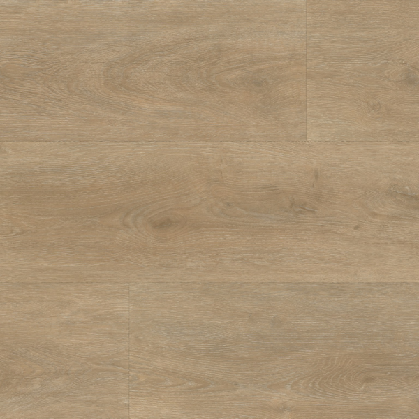 Parramatta dryback naturel