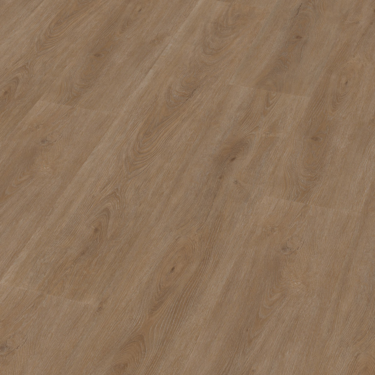 Parramatta dryback dark oak - Afbeelding 9