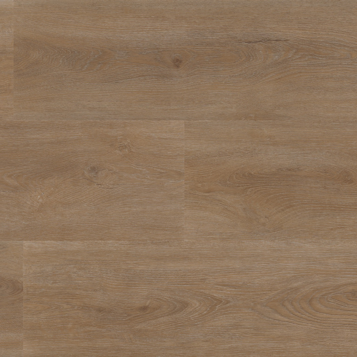 Parramatta dryback dark oak - Afbeelding 1