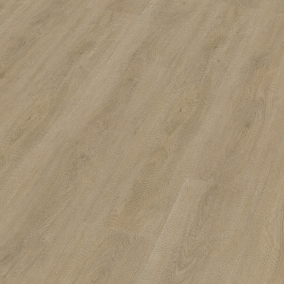 Parramatta dryback beige - Afbeelding 9