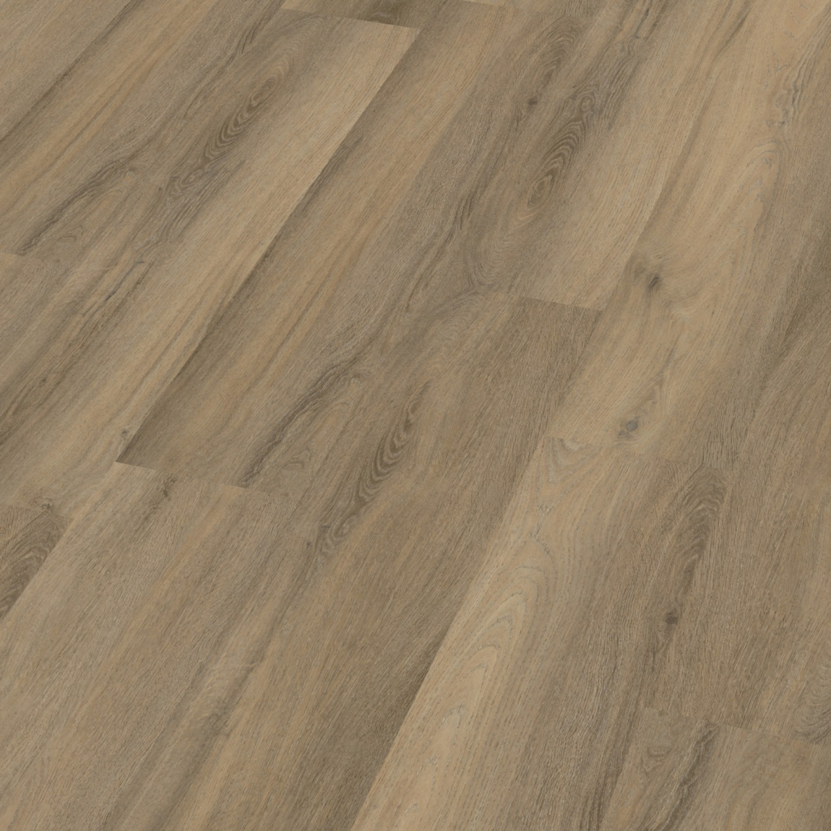 Newham click beige (Free Test) - Afbeelding 9