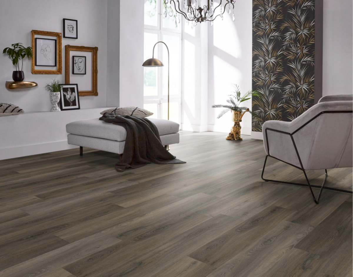 Paddington dryback dark grey - Afbeelding 5