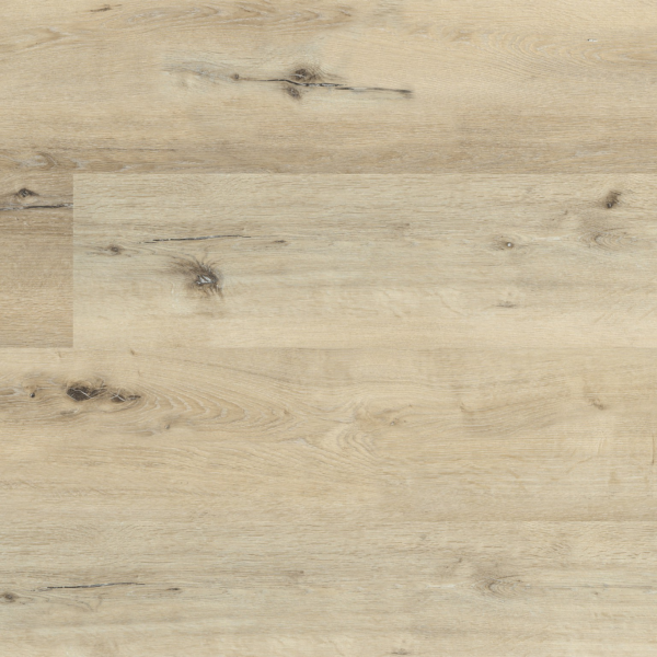 Sydney harbour dryback light oak