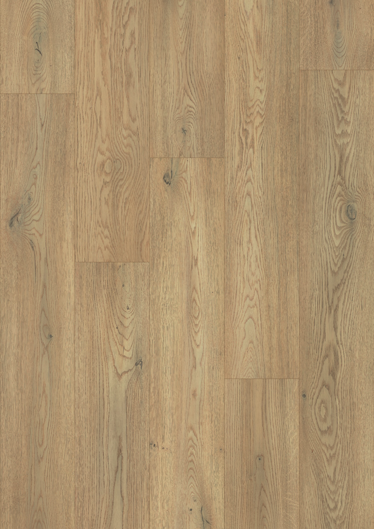 K2738 Torro Cremona Oak - Afbeelding 3
