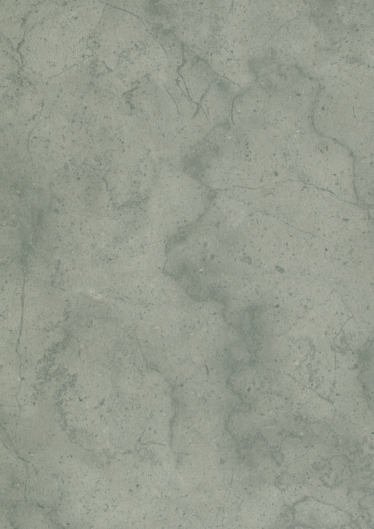 K538 Dovetail Arosa - Afbeelding 6