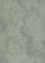 K538 Dovetail Arosa - Afbeelding 6