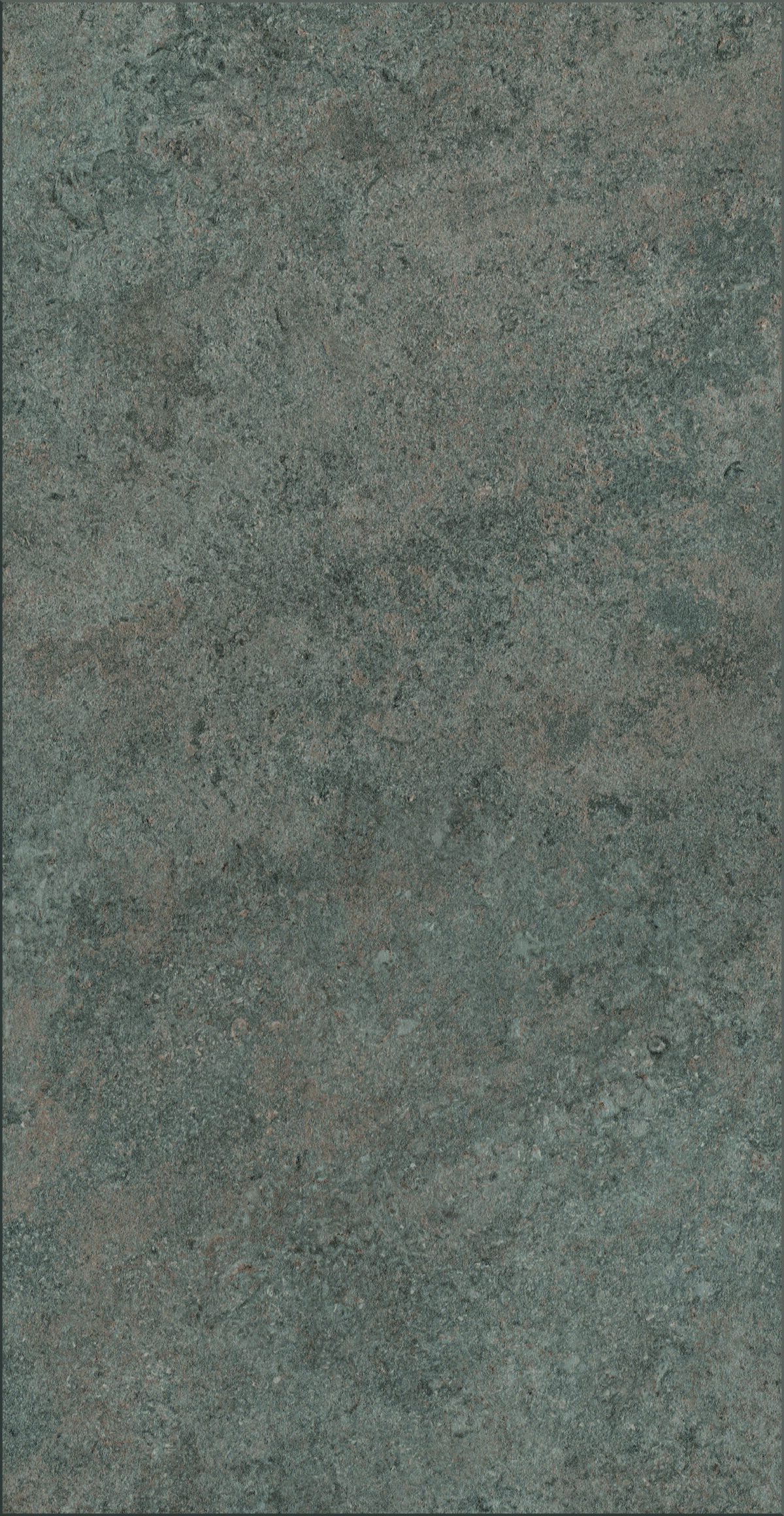 K540 Grey Albus - Afbeelding 5