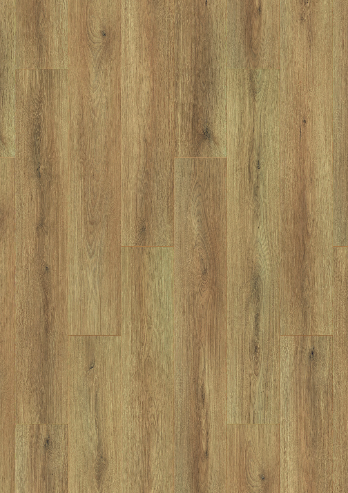K654 Sand Cantal Oak - Afbeelding 4