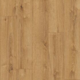 K794 Old Camberwick Oak