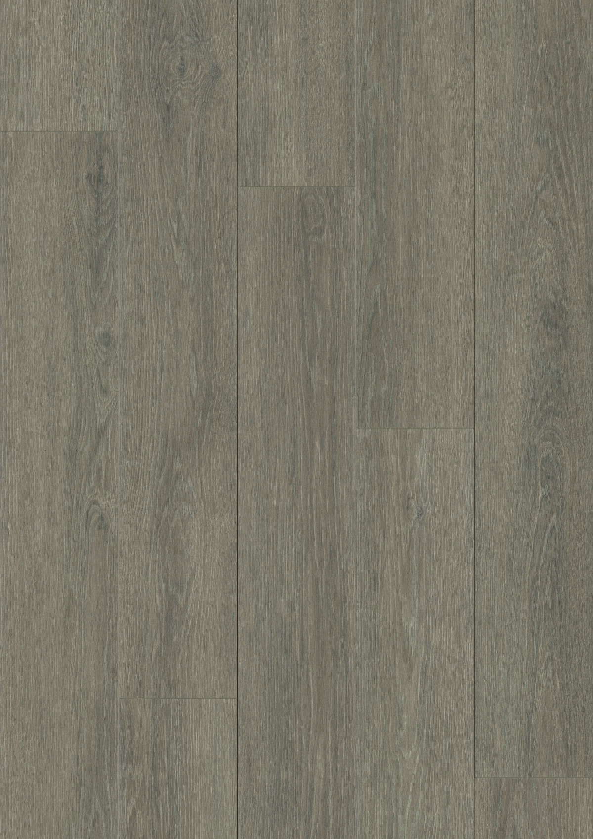 K857 Grey Palais Oak - Afbeelding 2